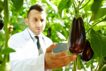 Similar image 18359893