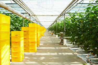 Similar image 18359956