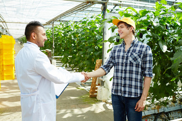 Similar image 18359982