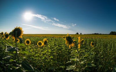 Similar image 18508250