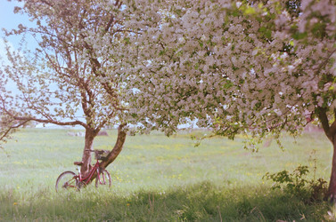 Similar image 18151836