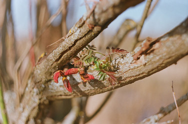 Similar image 18151838