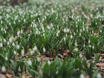 Similar image 18510358