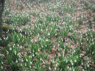 Similar image 18510363