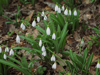 Similar image 18510384