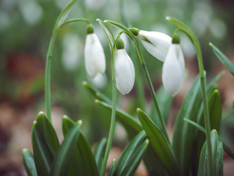 Similar image 18510385