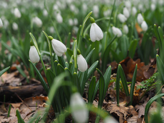 Similar image 18510387