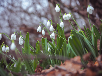 Similar image 18510389