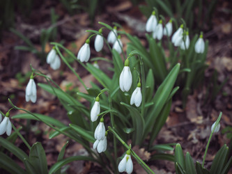 Similar image 18510390