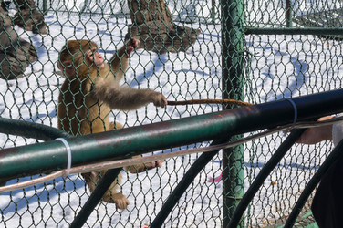 Similar image 18512748