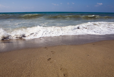 Similar image 18509629