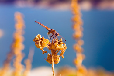 Similar image 18509632