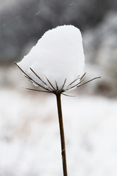 Similar image 18509634