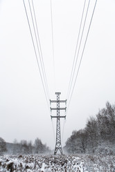 Similar image 18509636