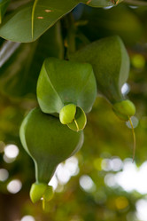 Similar image 18509644