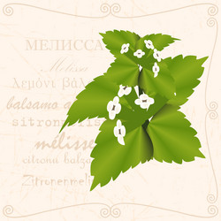 Similar image 18510572