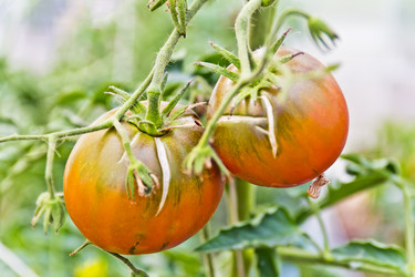 Similar image 18508434