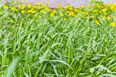 Similar image 18508551