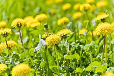 Similar image 18509340