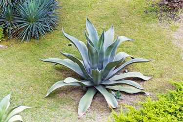 Similar image 18508483