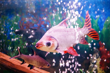 Similar image 18508724