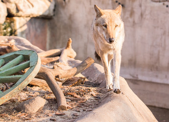 Similar image 18509118