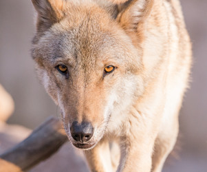 Similar image 18509119