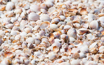 Similar image 18509121