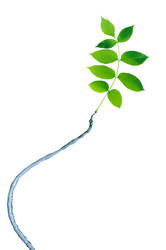 Similar image 18509106