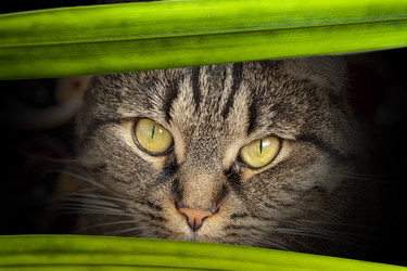 Similar image 18509277