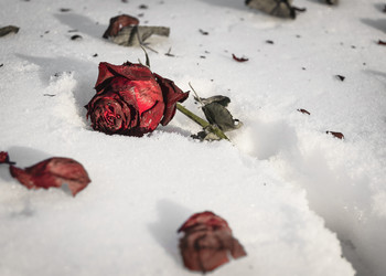 Similar image 18508293