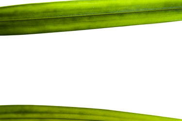 Similar image 18509453