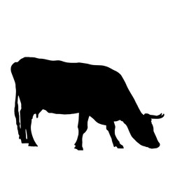 Similar image 18508456