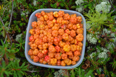 Similar image 18508268