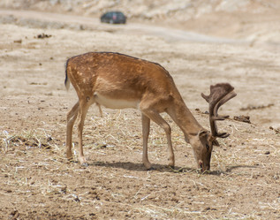 Similar image 18509204