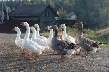 Similar image 18509222