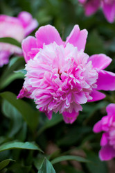 Similar image 18509203