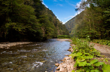 Similar image 18509220