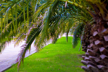 Similar image 18509221