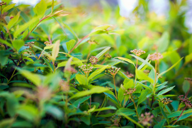 Similar image 18509223