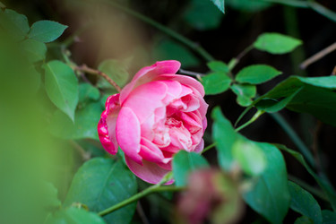 Similar image 18509231