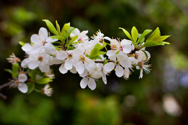 Similar image 18509232