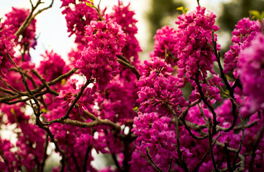 Similar image 18509234