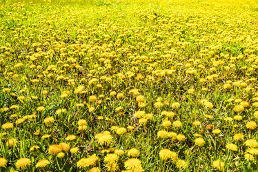 Similar image 18550286