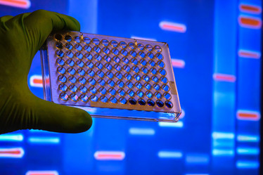 Similar image 18550396