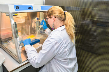 Similar image 18551160