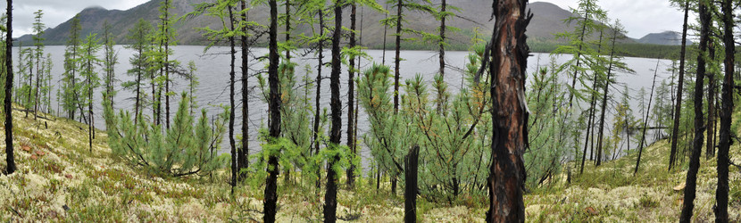 Similar image 18562715