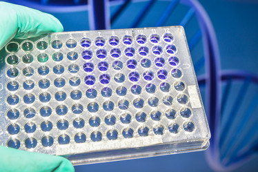 Similar image 18562719