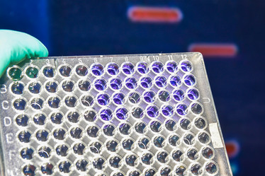 Similar image 18562735