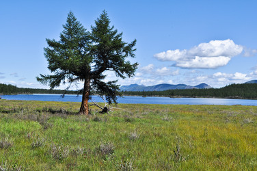 Similar image 18561089